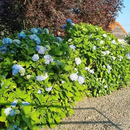 La maison du bonheur Hébergement de vacances Le Mesnil-Villeman
